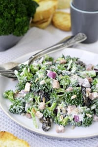 Broccoli salad. Close up.