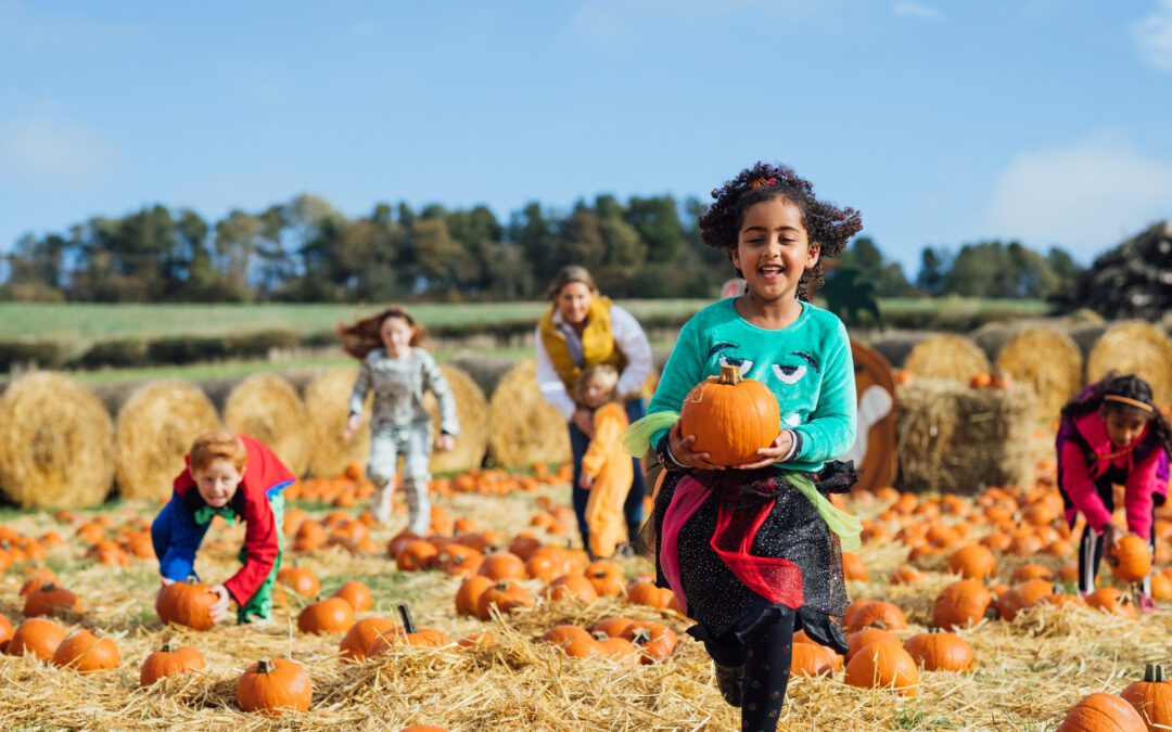 Must Visit Pumpkin Patches in Maine